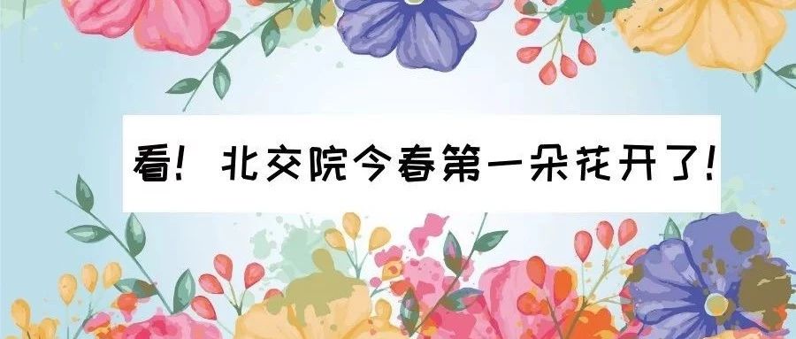 走～集合！我带你们去777久久久精品一区二区三区看校花！