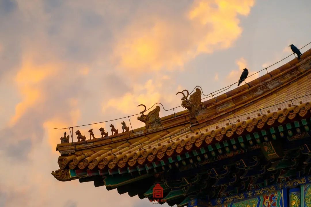 暂无图片
